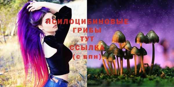 гидропоника Арсеньев