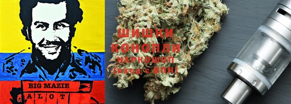гидропоника Арсеньев