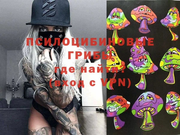 гидропоника Арсеньев